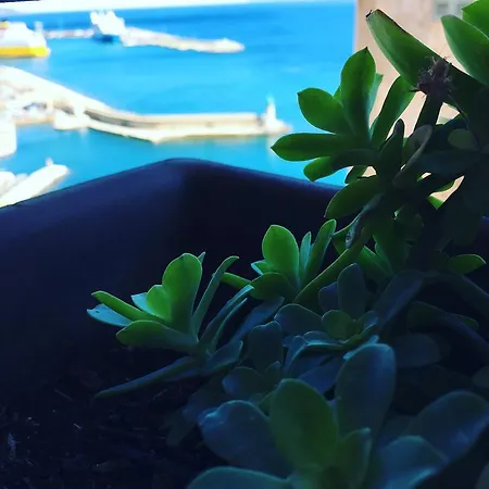 Casa Mantinum Au Coeur De La Citadelle * Bastia (Corsica)