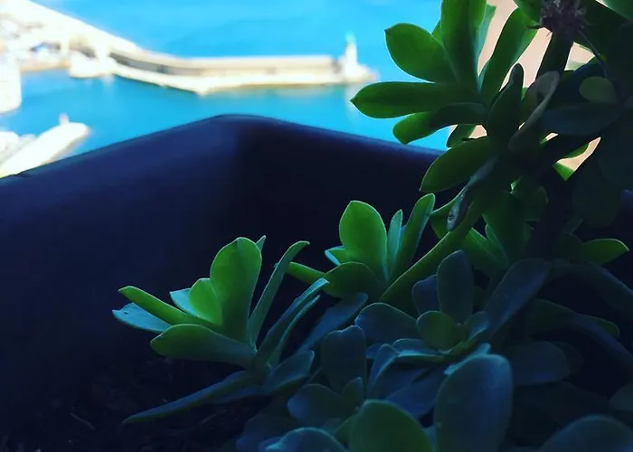 Casa Mantinum Au Coeur De La Citadelle * Bastia (Corsica)